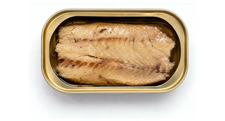 Canned Squid