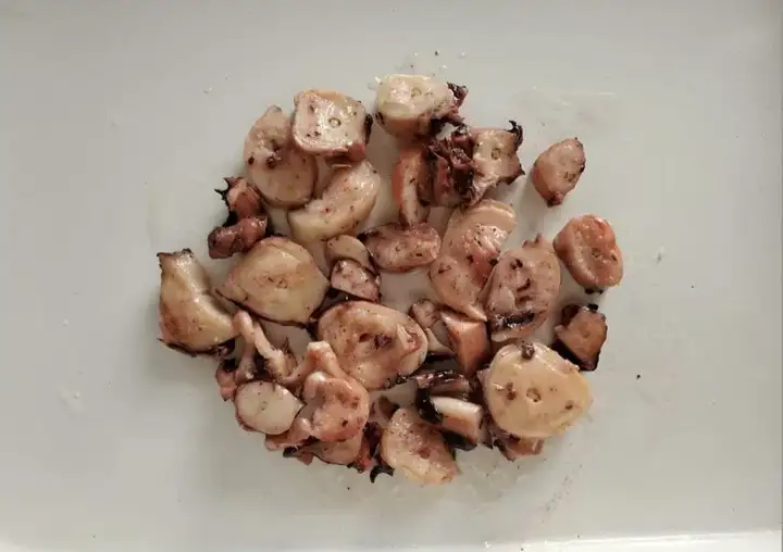 canned squid